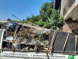 Best Shed Removal  in Cross Plains, WI